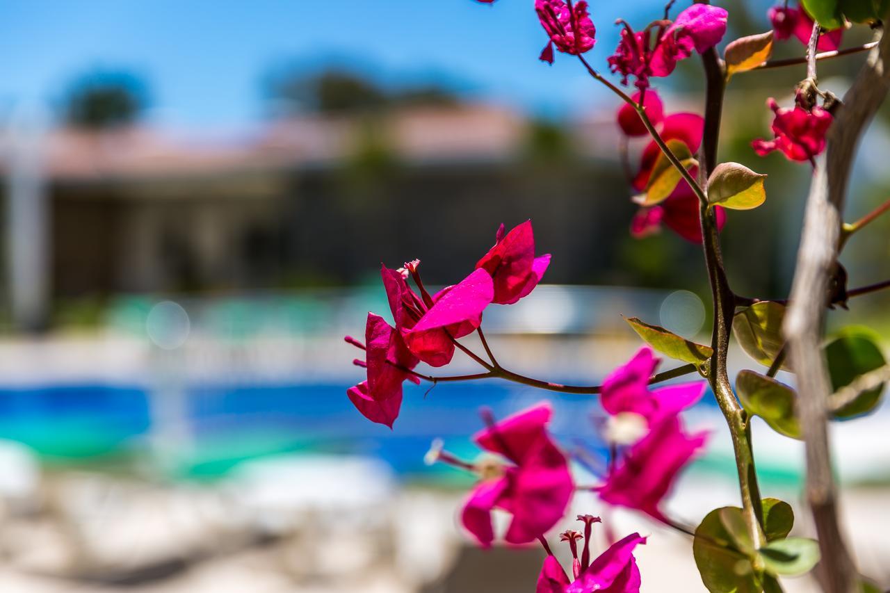 Kalina Hotel Datça Zewnętrze zdjęcie