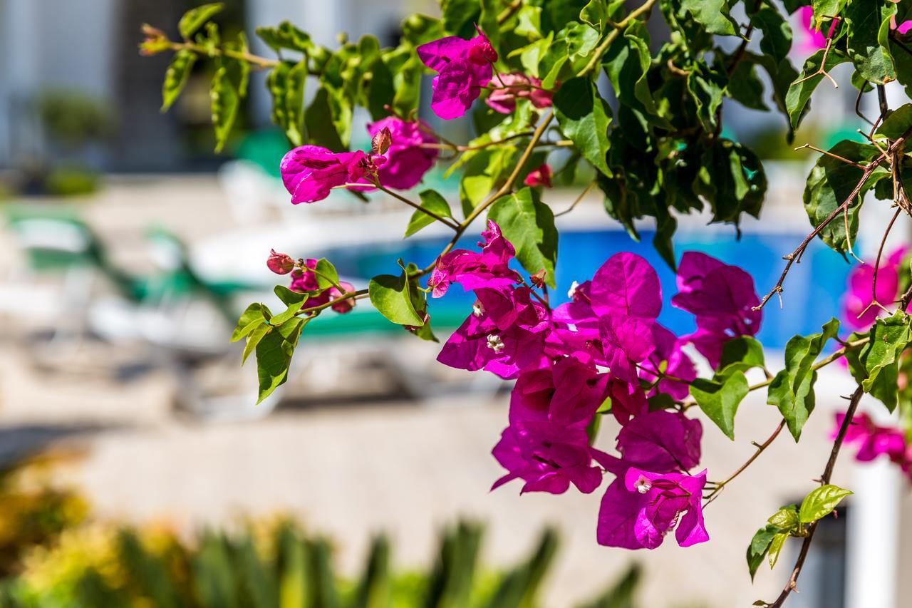 Kalina Hotel Datça Zewnętrze zdjęcie